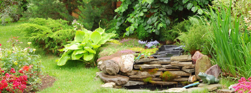 Escape Yard Care Online