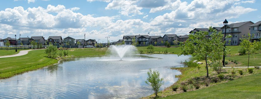 Economy Landscape Online