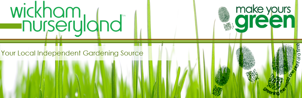 Wickham Nurseryland Online