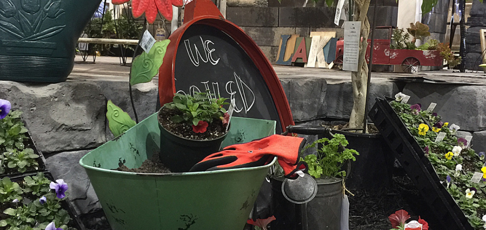 Alternative Landscaping Online