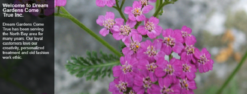 Dream Gardens Come True Online