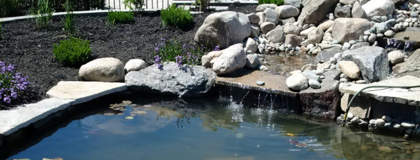 Schutz Landscaping Online