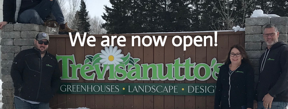 Trevisanutto’s Online