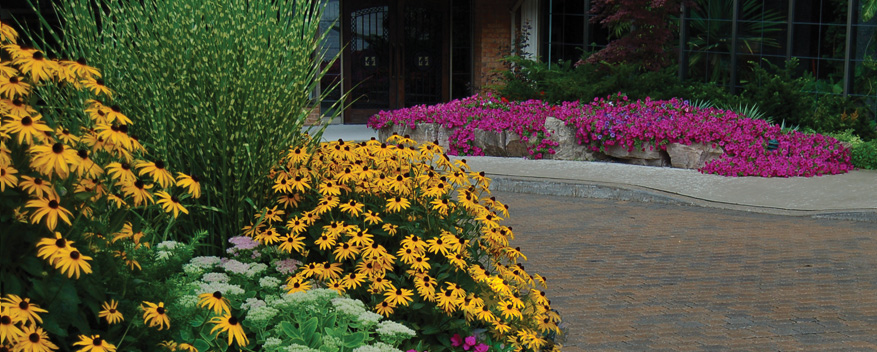 Boots Landscaping Online