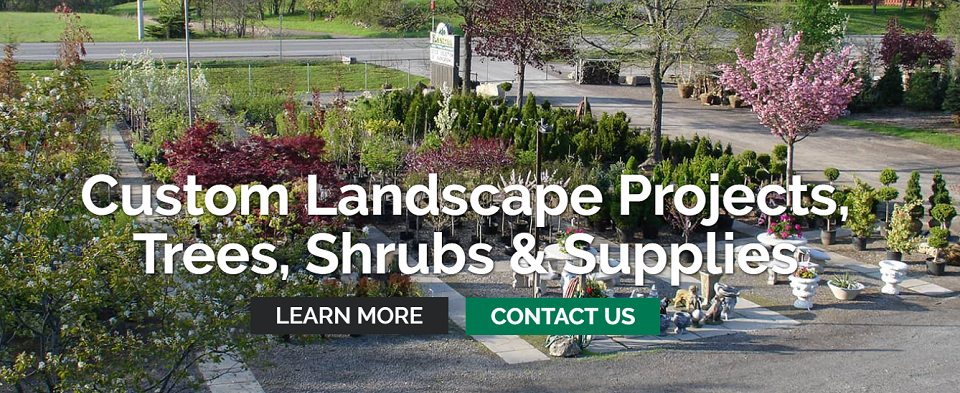 Kastrau Landscaping and Nurseries Ltd Online