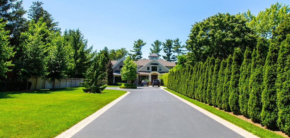 Green Thumb Landscaping Online