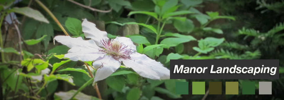 Manor Landscaping Online