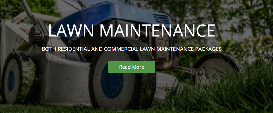 Beaver Landscaping Online