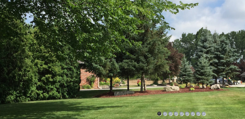 CGM Lawn Care & Landscaping Online