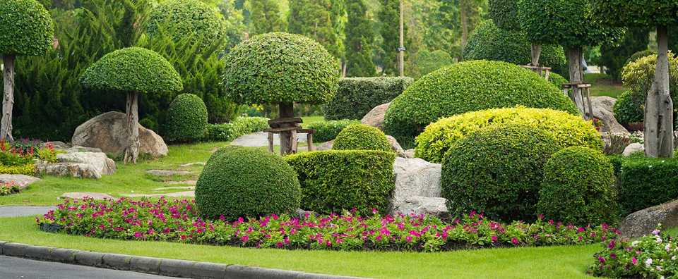 Lamer Landscaping Online