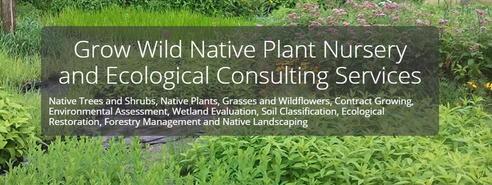 Grow Wild Native Plant Nursery Online