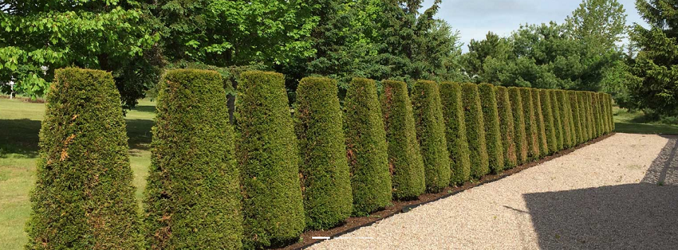 Gillespie Horticulture Online