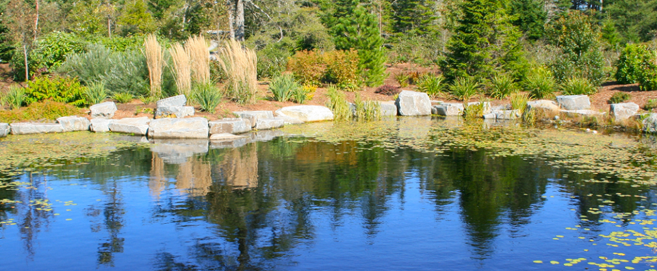 Joe Bidermann Landscaping Online