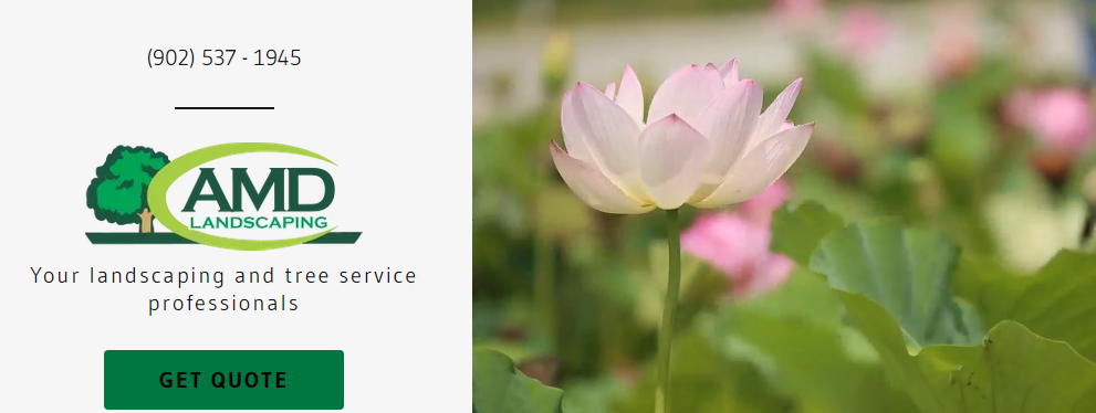 AMD Landscaping Online
