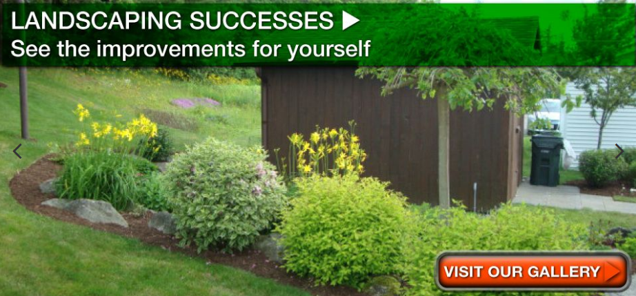 Sydney Landscaping Online