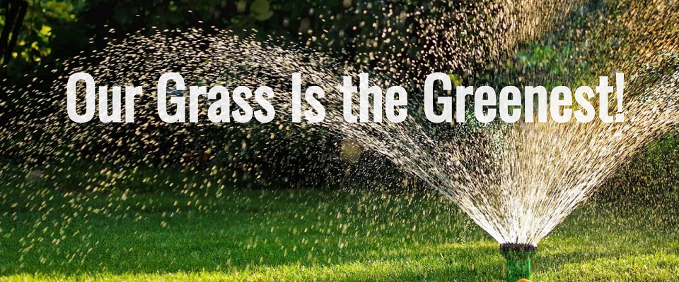 Sinnott's Landscaping Online