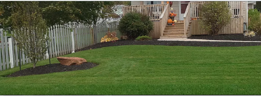 Island Grown SOD Online