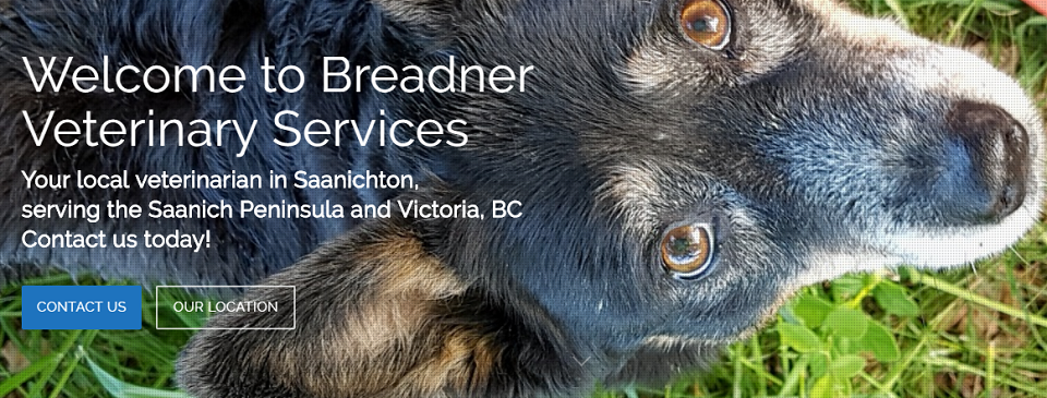 Breadner Veterinary Services Online