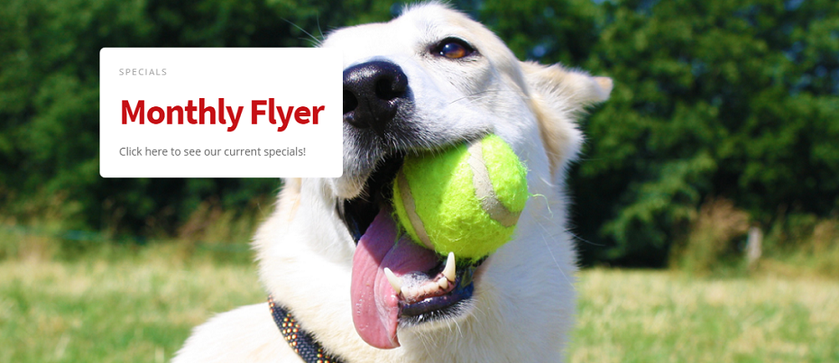 Mr Pet S Store Flyers Online