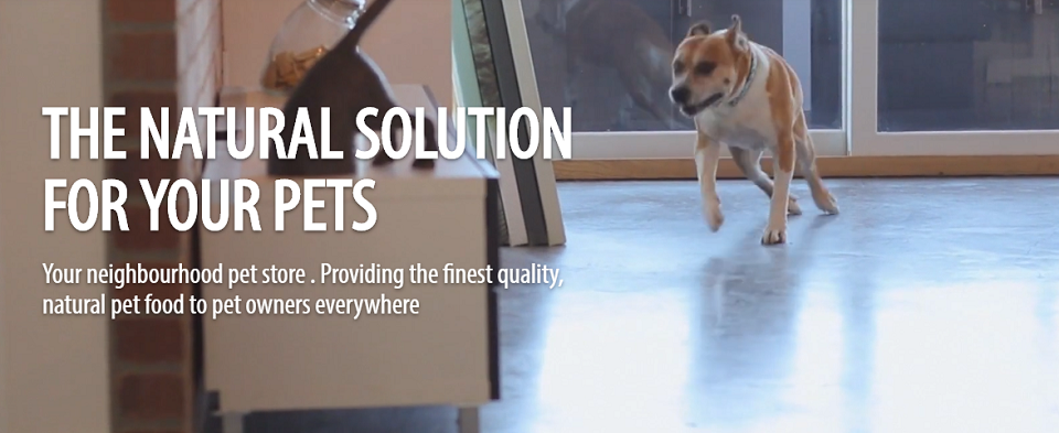 Bone & Biscuit Online