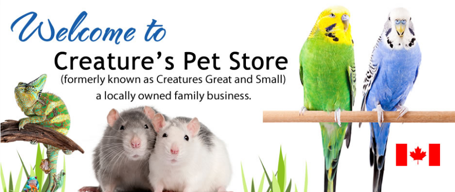Creatures Pet Store Online