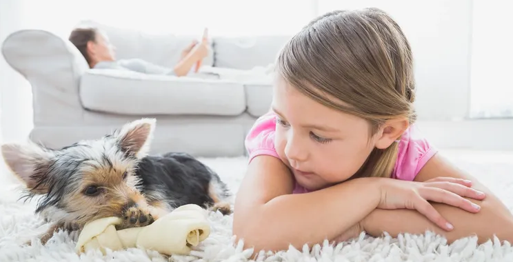 Paw Some Puppies For You Online