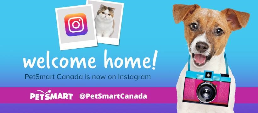 petsmart online canada