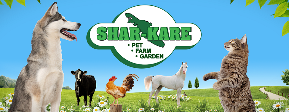 Shar-Kare Online