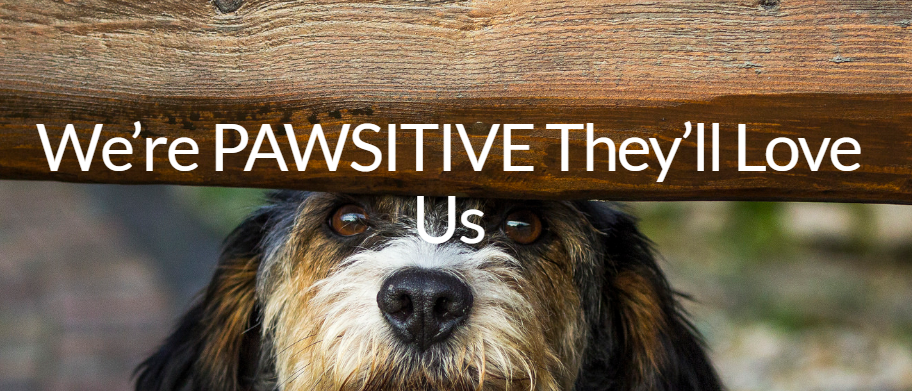 Roving K-9 Kare Online