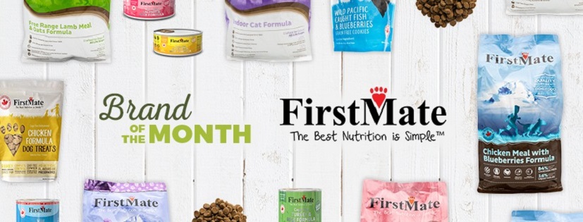 Homes Alive Pets Online