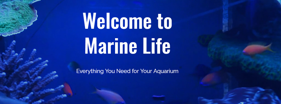 Marine Life Store - Flyers Online