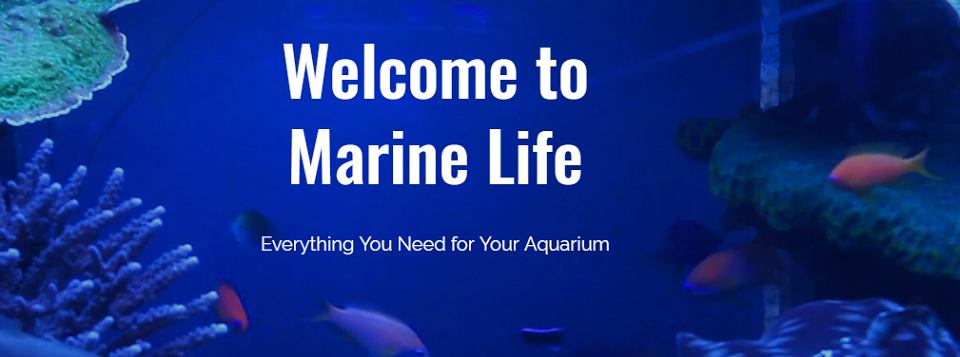 Marine Life Online