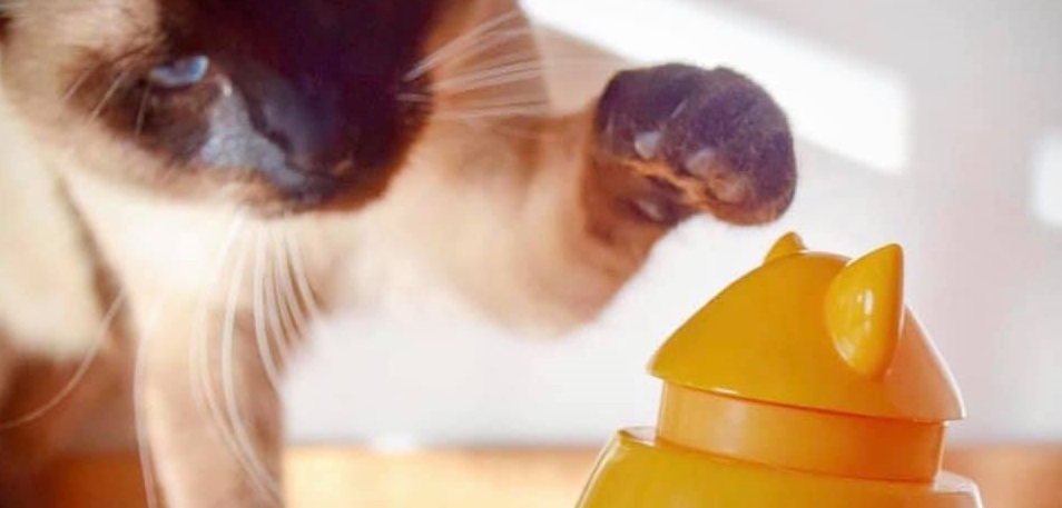 Metro Pet Market Online