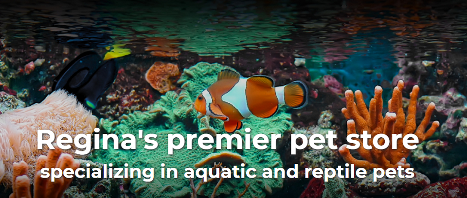 Prairie Aquatics and Exotics Online