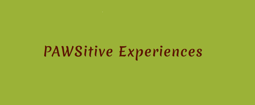 Pawsitive Experiences Online