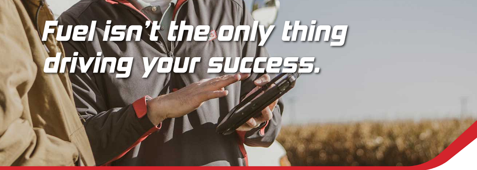 North Wellington Online