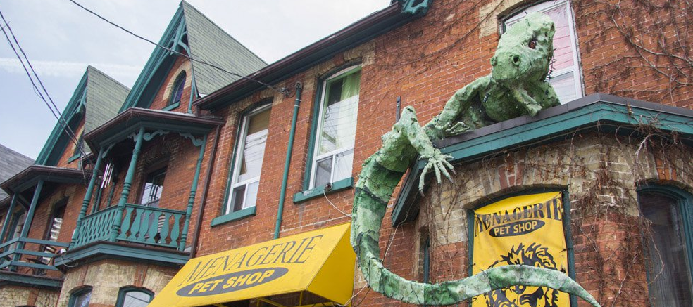 The Menagerie Online