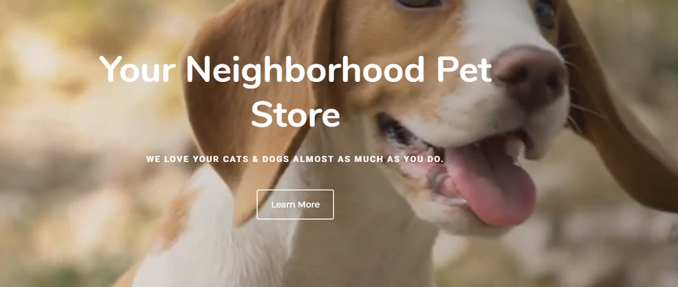 Masters N' Dogs Store - Flyers Online
