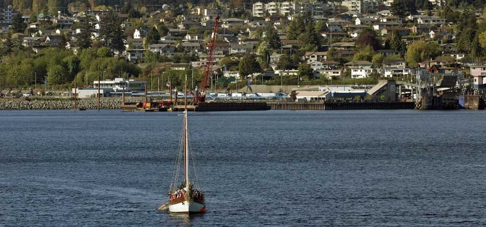 Strain & Company Online