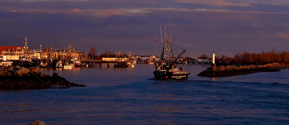 Forbes Boyle Lambert Online