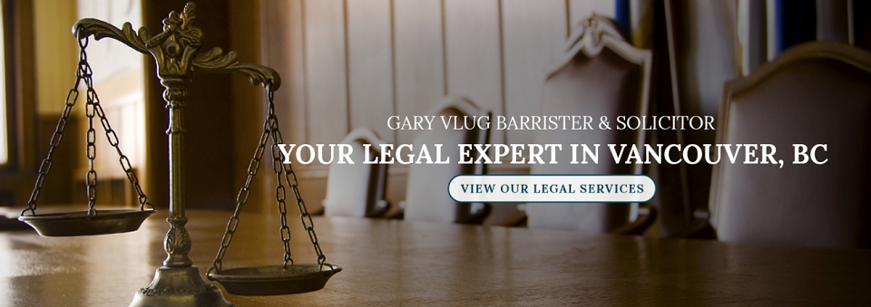 Gary Vlug Barrister and Solicitor Online