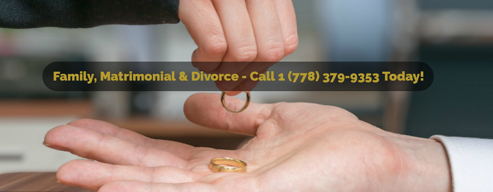 Vincent Mark Law Online