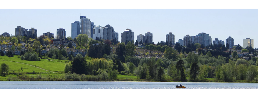 Renaud Law Group Online