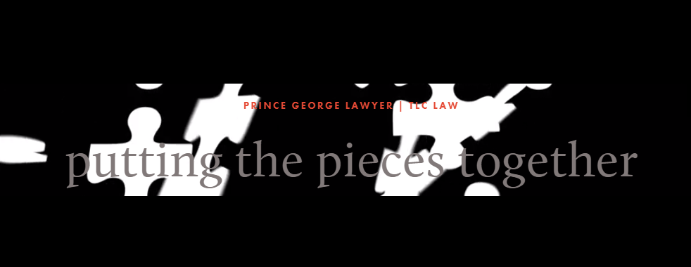 TLC Family Law Online