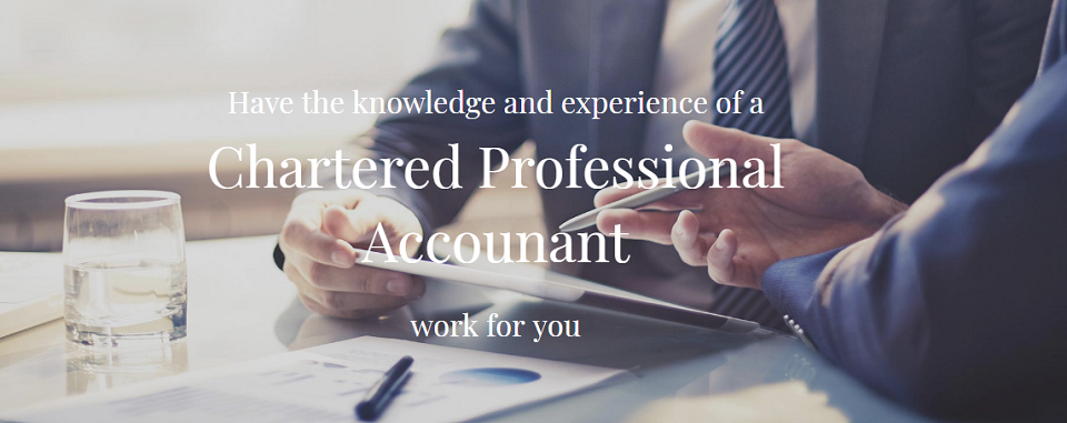 Mark Schonewille CPA Online