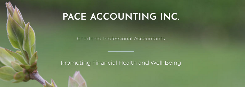 Pace Accounting Inc. Online