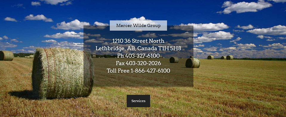 Mercer Wilde Group Online