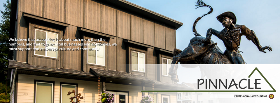 Pinnacle Professional Accounting Online