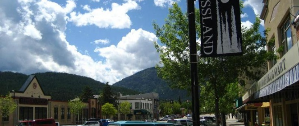 L.J. van der Ham & Associates Online