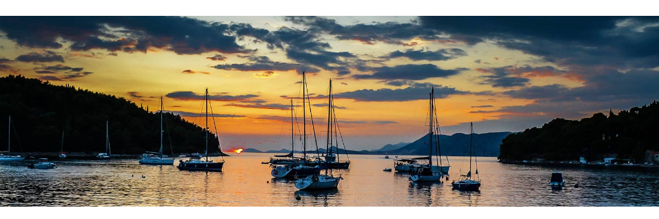 Levy Casey Carter MacLean CPA Online